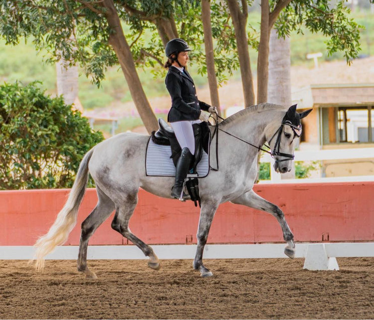 Glitter Dressage Pads