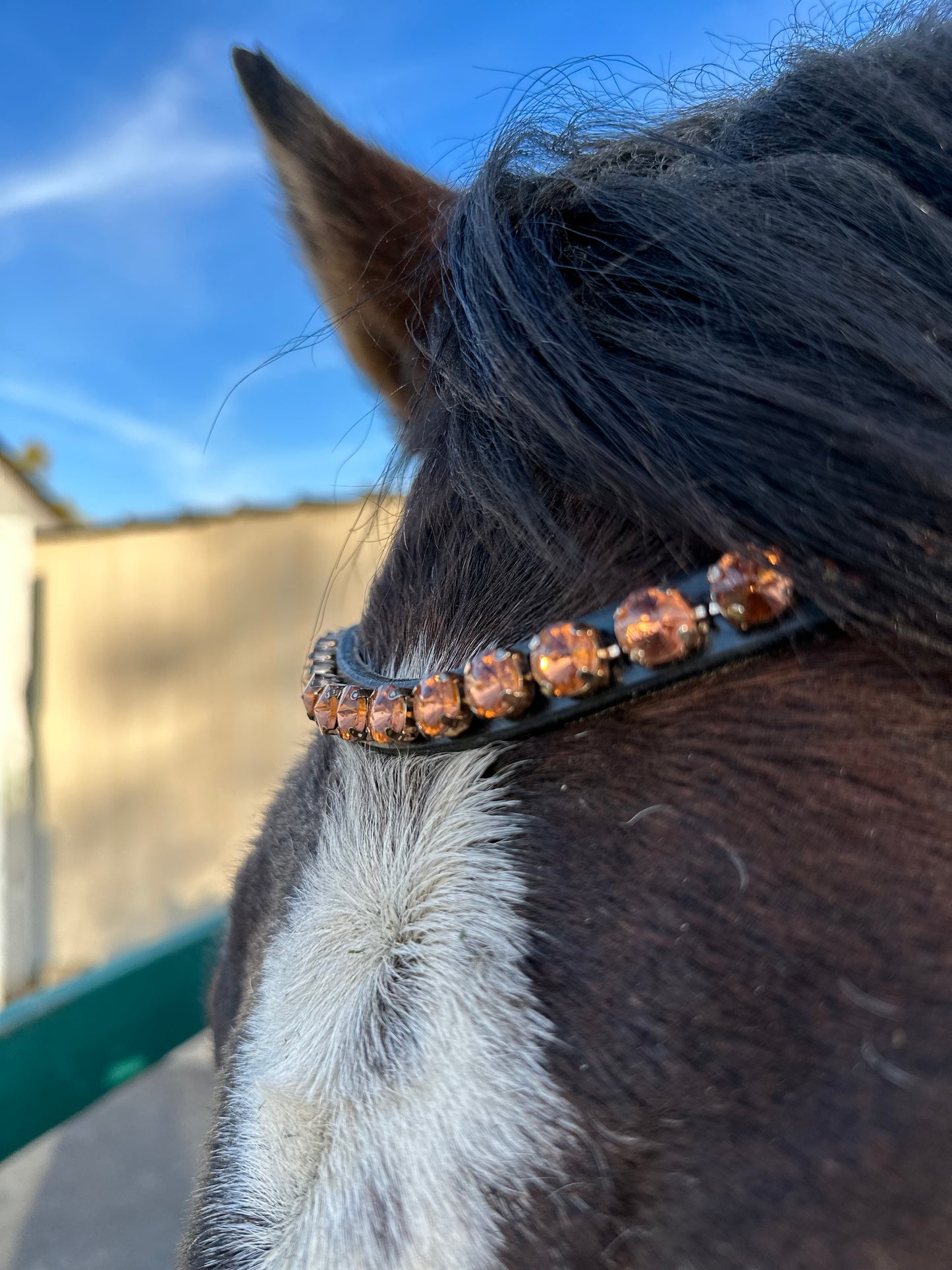 Rose Gold Pink Crystal Rivet Snap on Browband