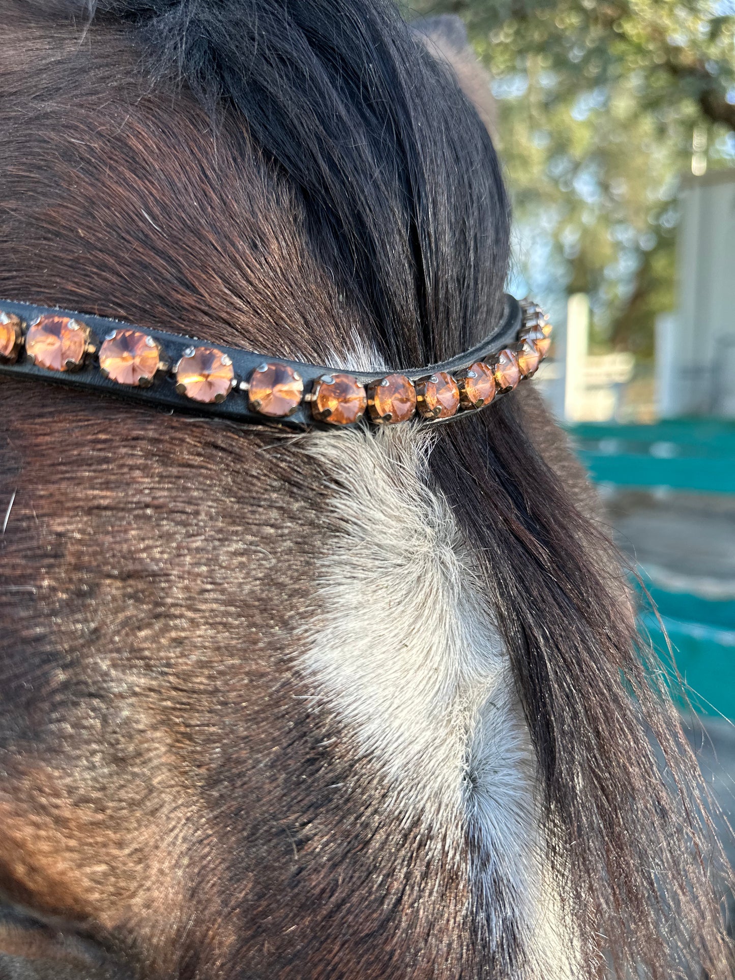 Rose Gold Pink Crystal Rivet Snap on Browband