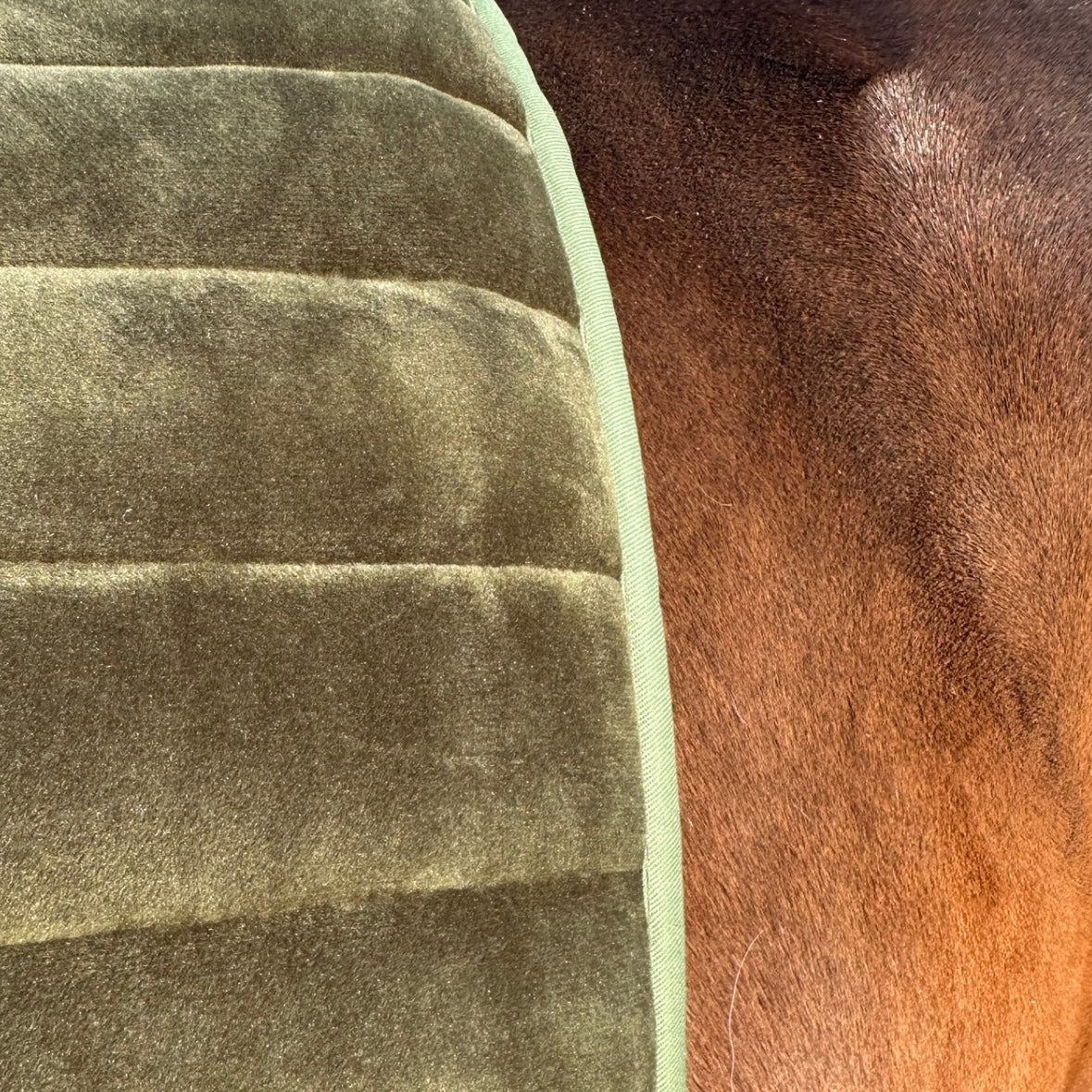 Suede Tech Dressage Saddle Pad Hunter Green