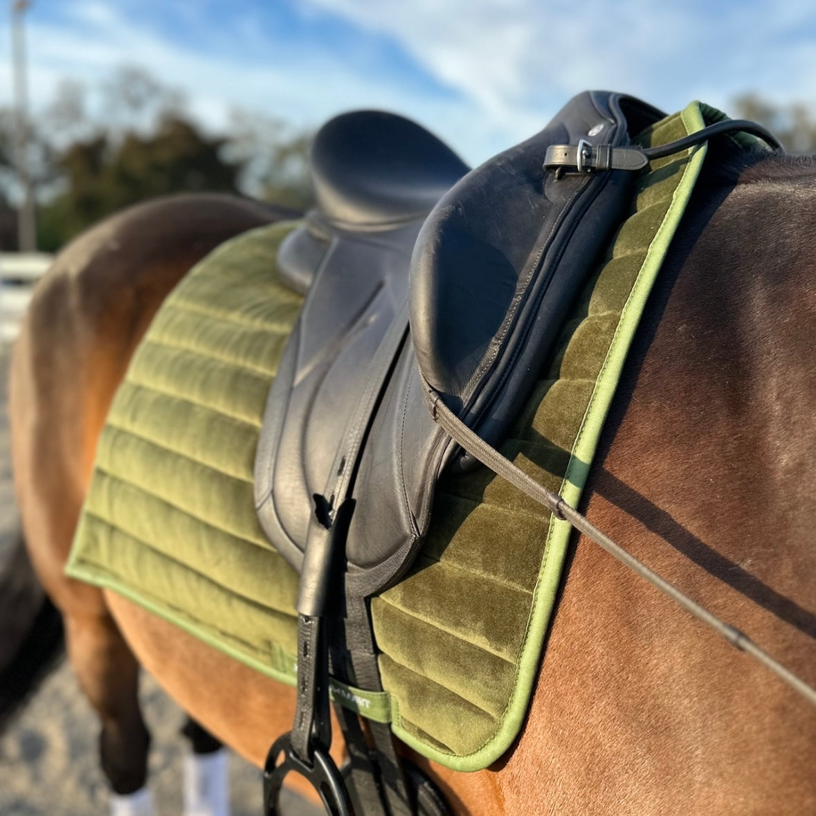 Suede Tech Dressage Saddle Pad Hunter Green