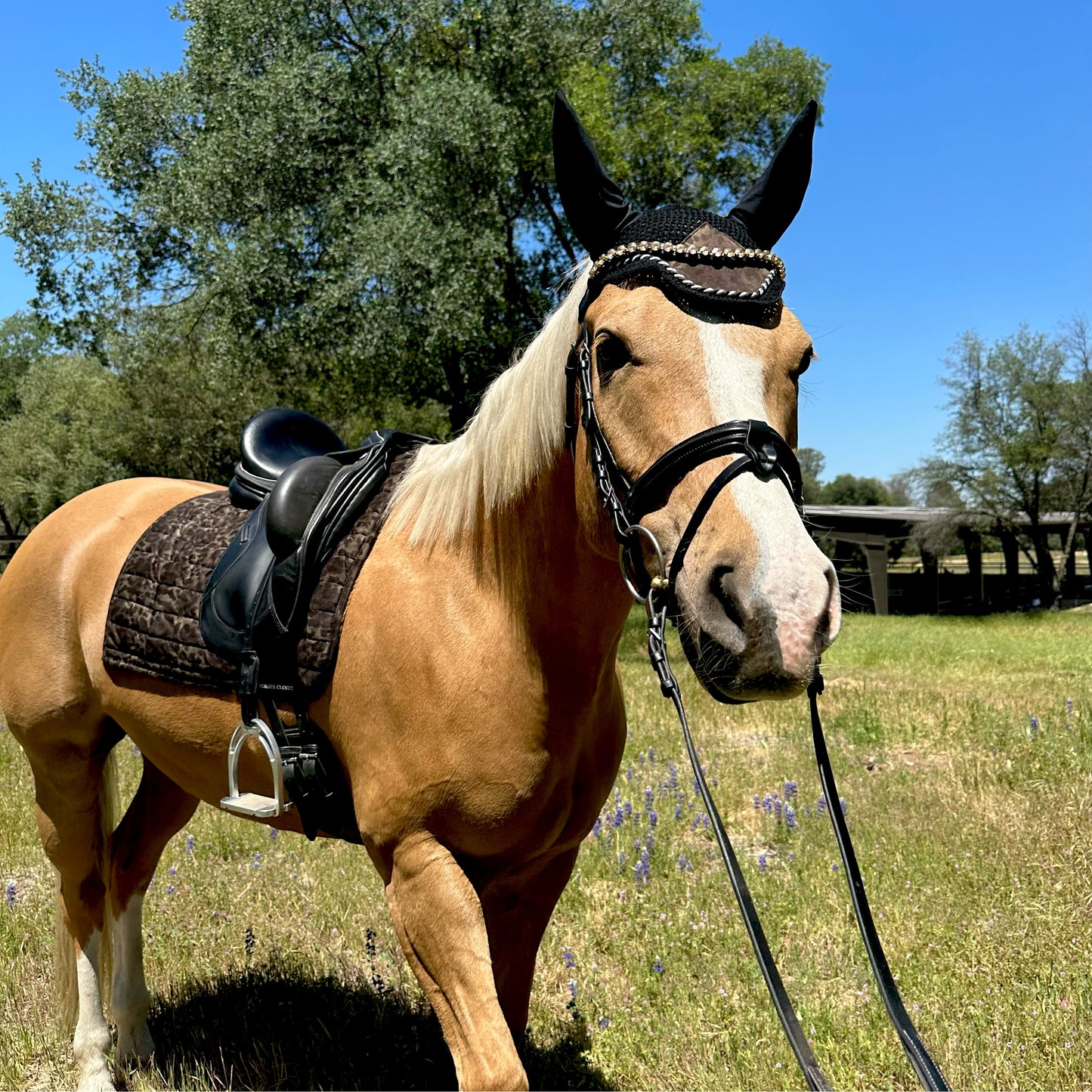 Suede Tech Dressage Saddle Pad Animal Print