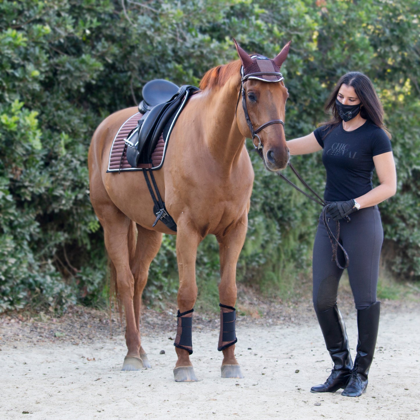 Glitter Sparkly Brushing Dressage Boots Copper Chocolate Brown