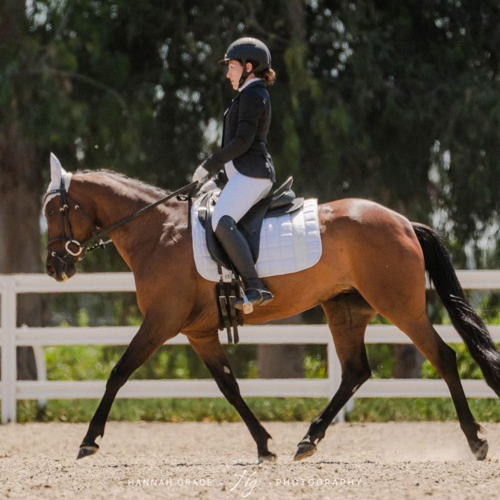 Dressage Saddle Pad Versailles White Damask Off-white