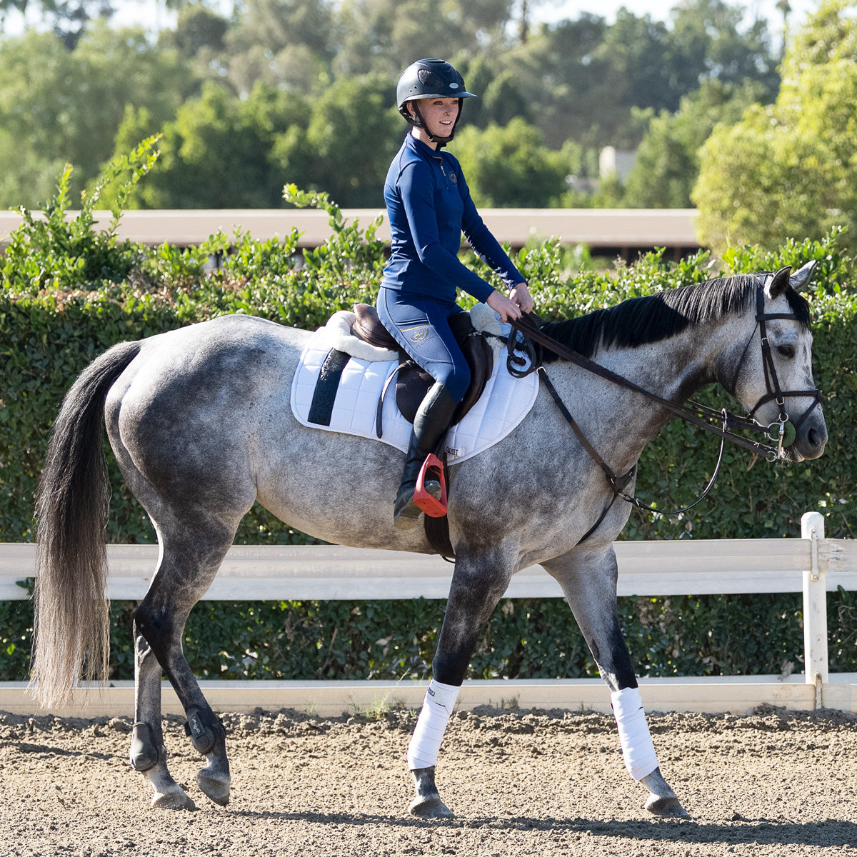 Jump AP Saddle Pad Versailles White Damask Black