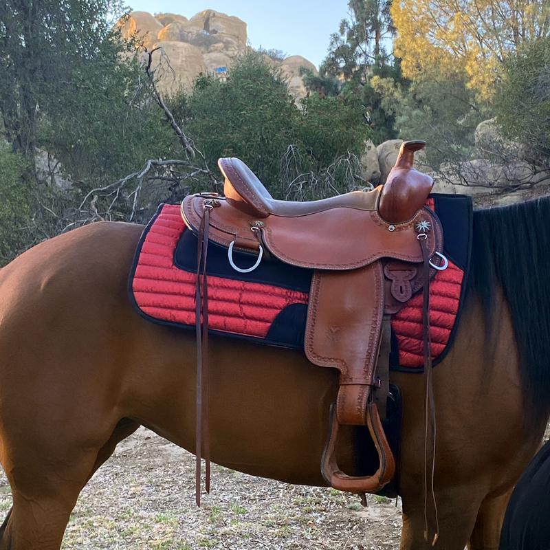 Western Trail TWH Glitter Saddle Pad Blanket Red