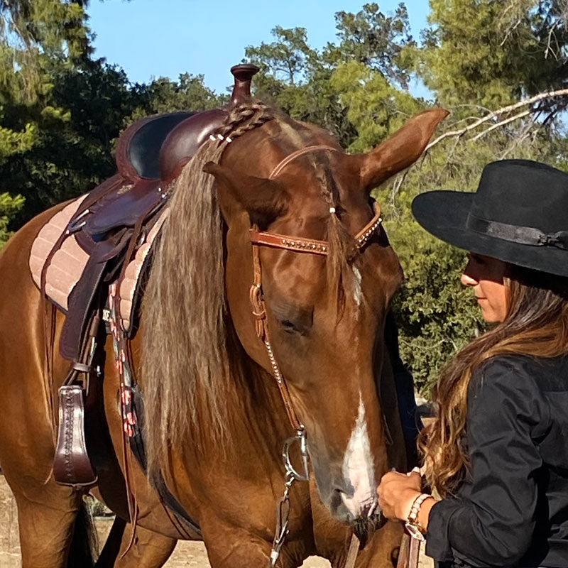 Western Trail TWH Glitter Saddle Pad Blanket Rose Gold