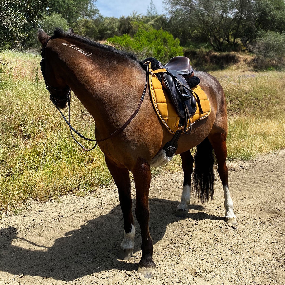 Classic Line Mustard Yellow Jump AP Saddle Pad