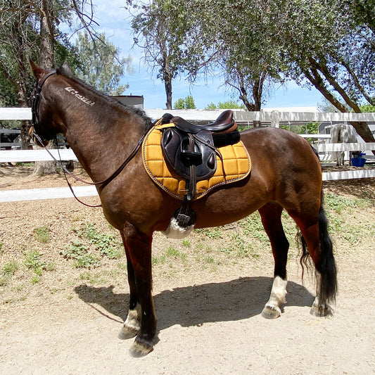 Classic Line Mustard Yellow Jump AP Saddle Pad
