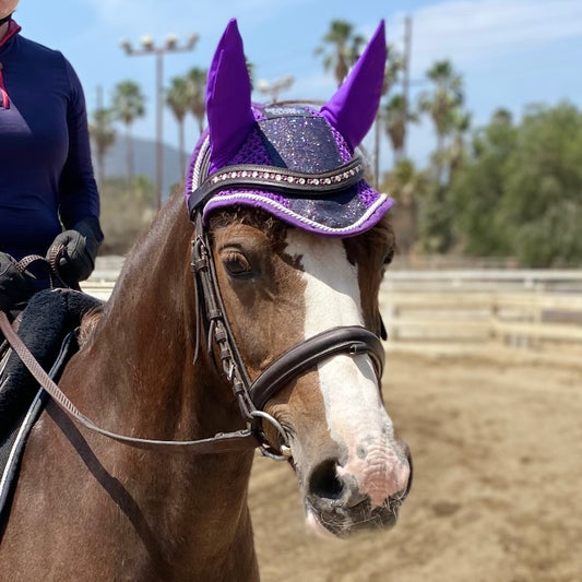 Fly Bonnet Glitter Sparkles Plum Purple