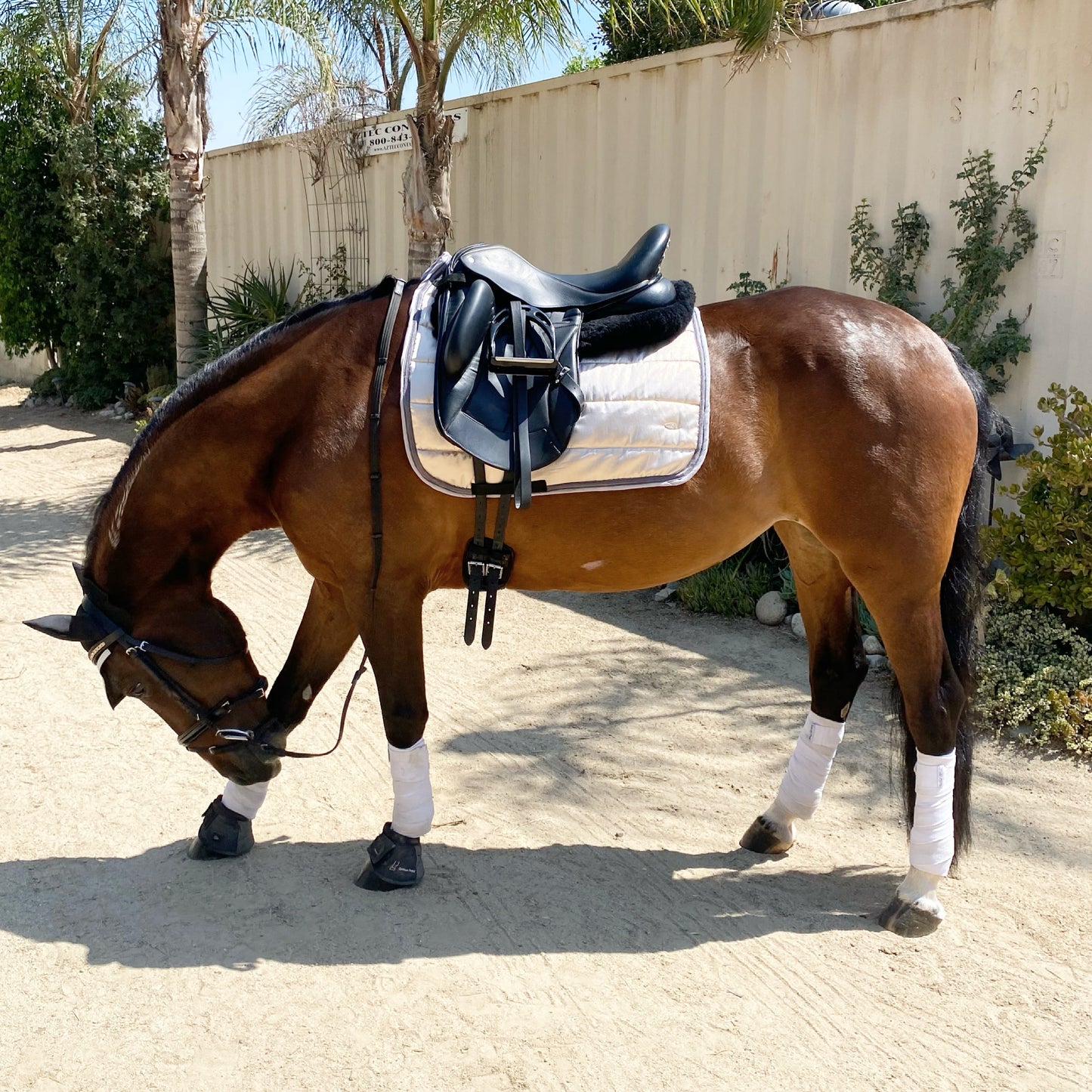 Dressage Saddle Pad Rose Gold Metallic