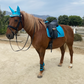 Glitter Mesh  Dressage Saddle Pad Turquoise